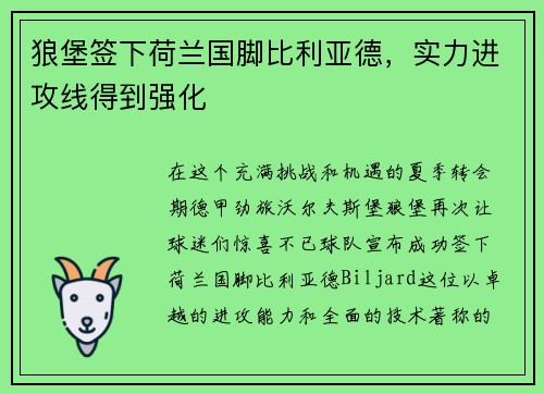 狼堡签下荷兰国脚比利亚德，实力进攻线得到强化